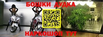 мдпв Рыбинск