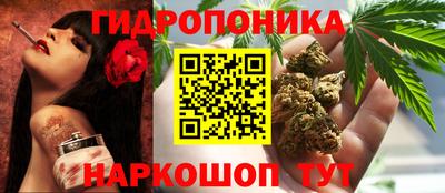 мдпв Рыбинск