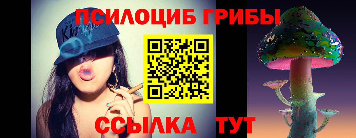 Галлюциногенные грибы ЛСД  Псилоцибиновые грибы Psilocybine cubensis  Скопин  Вход с VPN 
