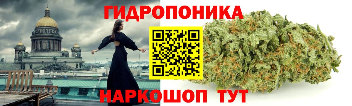 Каннабис сатива Скопин